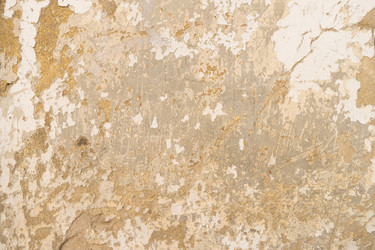 Similar image 20298921