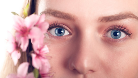 Similar image 20296767