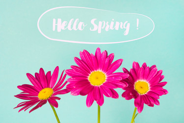 Similar image 20231306