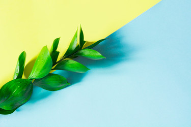 Similar image 20231287