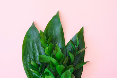 Similar image 20231288