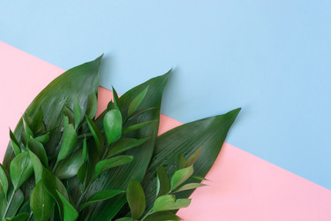 Similar image 20231289