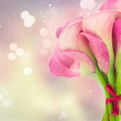 Similar image 20298947