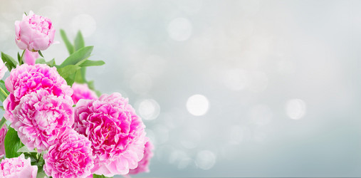 Similar image 20299248