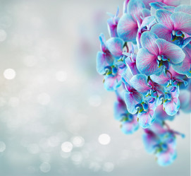 Similar image 20298546