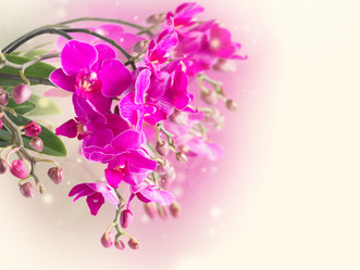 Similar image 20298547