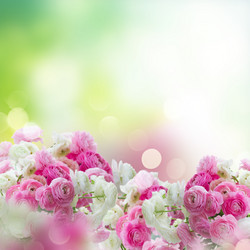 Similar image 20298703