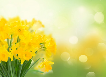 Similar image 20298726