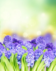 Similar image 20298868