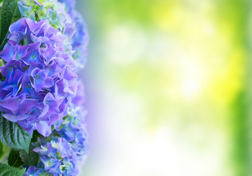 Similar image 20298995