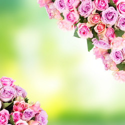 Similar image 20299287