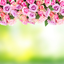 Similar image 20299328