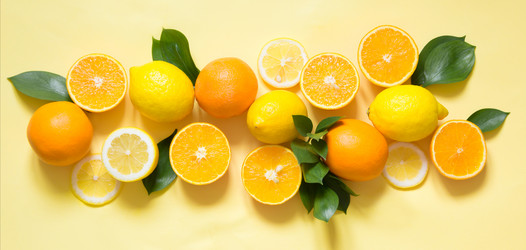 Similar image 20231313