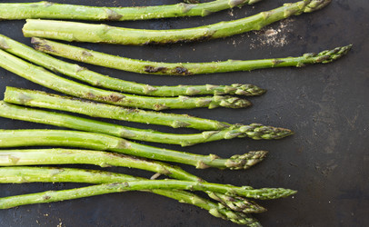 Similar image 20235355