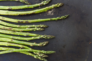 Similar image 20235337