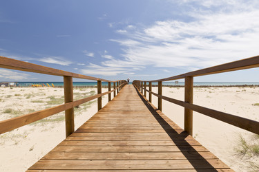 Similar image 20235331