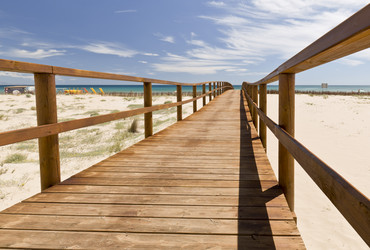 Similar image 20235333