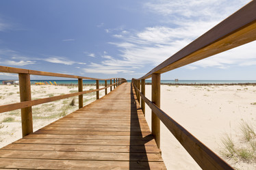 Similar image 20235336