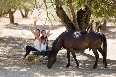 Similar image 20235379