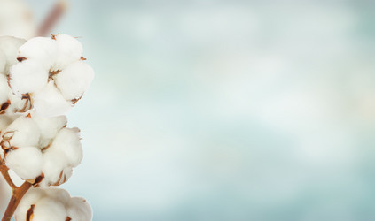 Similar image 20298347