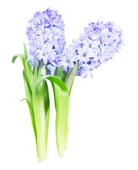 Similar image 20298364