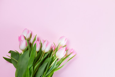 Similar image 20298365