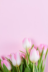 Similar image 20298366