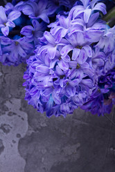 Similar image 20298370