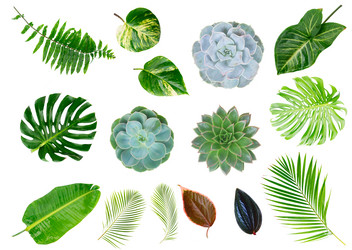 Similar image 20298372