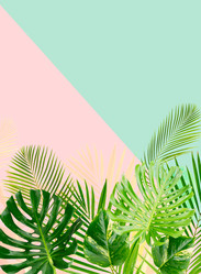 Similar image 20298374