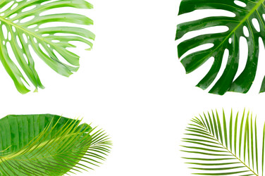 Similar image 20298402