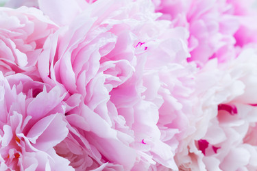 Similar image 20298412