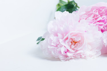 Similar image 20298413