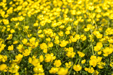 Similar image 20270584