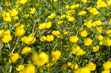 Similar image 20270587