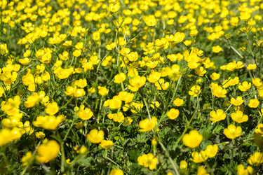 Similar image 20270592