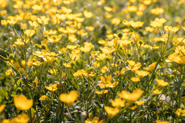 Similar image 20270629