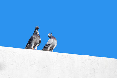 Similar image 20271142