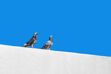 Similar image 20271144