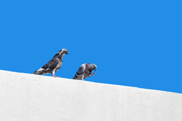 Similar image 20296643