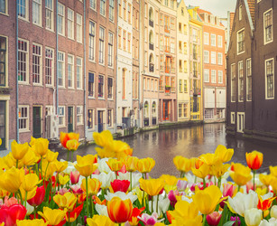 Similar image 20298434