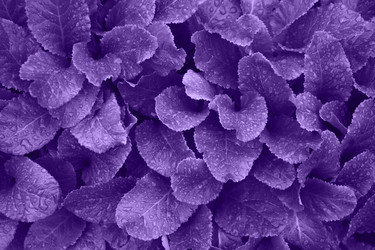 Similar image 20231362