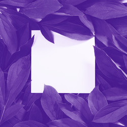 Similar image 20231363