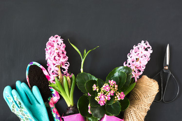 Similar image 20231391