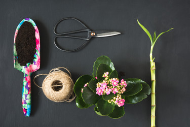 Similar image 20231393