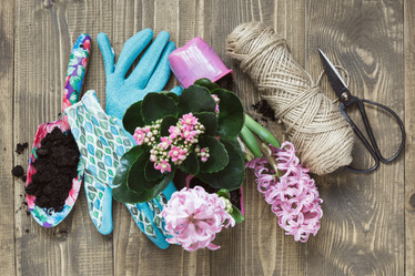 Similar image 20231387