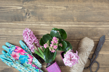 Similar image 20231388