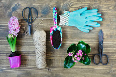 Similar image 20231390