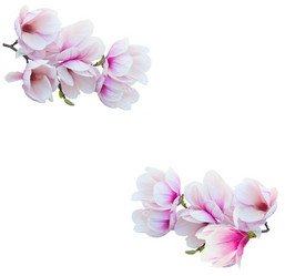 Similar image 20298422