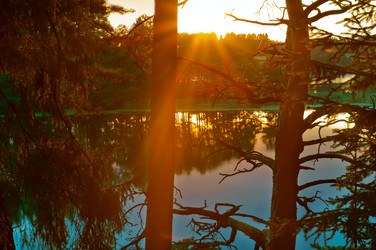 Similar image 20231440